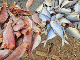 Dried salted fish on net local food preservation in fishermen village at Thailand.