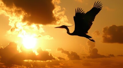 Majestic Bird Silhouette Soaring High Against Dramatic Sky - Concept of Nature's Grace and Freedom