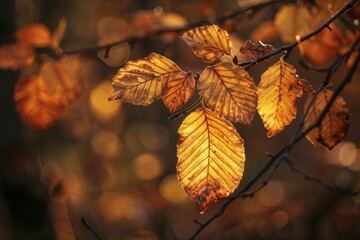 Golden autumn leaves glow in sunlight, showcasing intricate veins and textures. Bokeh background creates a dreamy, warm atmosphere.