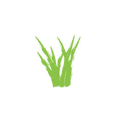 grunge green grass brush