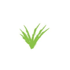 grunge green grass brush
