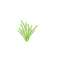 grunge green grass brush
