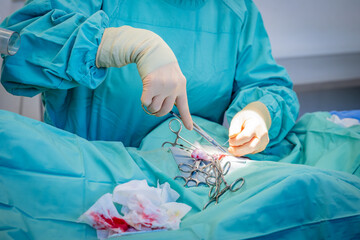 Veterinarian doing surgery