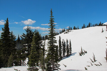 snow covered mountain, Mount Rainier National park