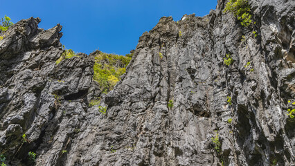 Sheer karst cliffs. Tropical green vegetation grows on rough furrowed slopes. The blue sky. Bottom-up view. Philippines. Palawan.