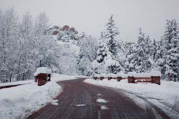 The environment of winter in the Rocky Mountains of Colorado
