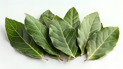 Green Bay Leaves Isolated Pro PNG,
Dry green bay leaves isolated on concrete background.


