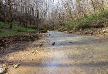 river, spring morning in a nature park, mountainous area and environment