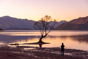That Wanaka Tree - New Zealand