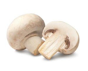 マッシュルーム / mushrooms

