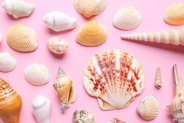 Many different seashells on pink background