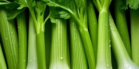 Fototapeta premium Fresh Green Celery Stalks, A close-up of fresh green pelager vegetable celery