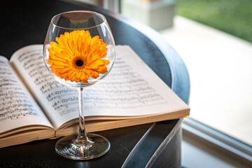 Orange Gerbera Daisy in a wine glass on a grand piano  with sheet music. 