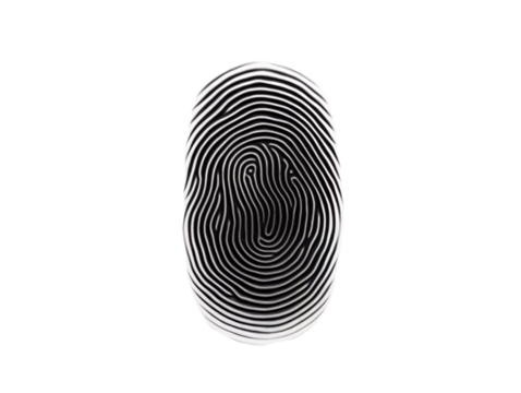 a black and white fingerprint