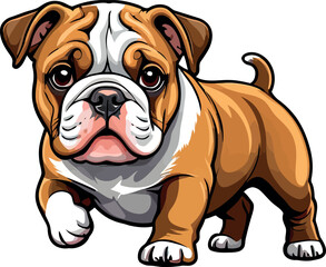 Obraz premium Charming Bulldogs are lying, playing, jumping, running, sitting, standing, vector & Illustrations . Playful Pups Brown and White Bulldog Art .