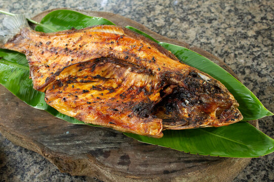 Tambaqui