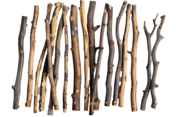 sticks isolated on transparent background