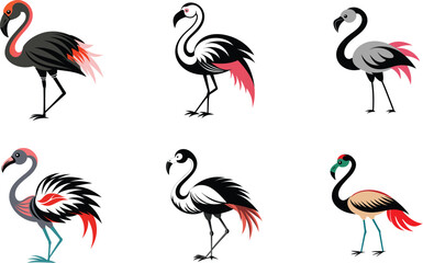 set of flamingo vector Illustration