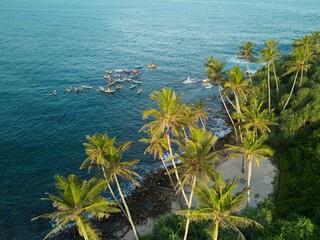 A group of traditional Sri Lankan fishing boats by the tropical coast overgrown with jungle
