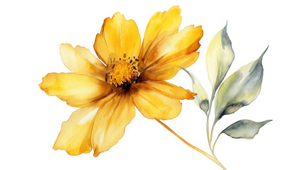 Obraz premium Watercolor Vibrant Yellow Flower isolated on a transparent background