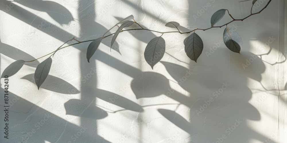 Poster a eucalyptus branch with leaves casting intricate shadows on a white textured wall, creating a minim