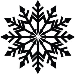 snowflake on black vector Illustration