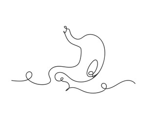 Continuous one line stomach isolated vector illustration.