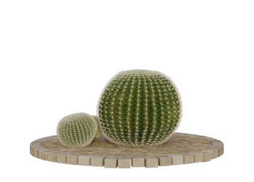 cactus group isolated on transparent background.