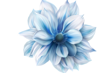 white blue flower isolated on transparent background