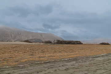 Cold desert landscape from Nubra Valley in Ladakh, India. Sand roads and dry vegetation. Scenic...