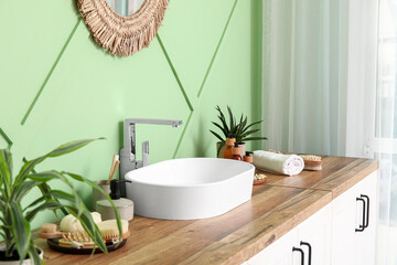Bath supplies and houseplant near sink in bathroom