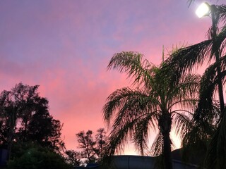 Pink sky