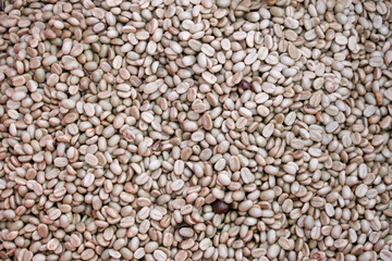 coffee beans background