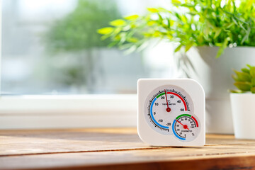 White Thermometer and Succulents on Windowsill