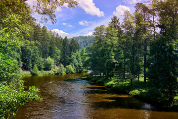 Wide river flowing through a dense green forest on a sunny summer day with a blue sky and white...