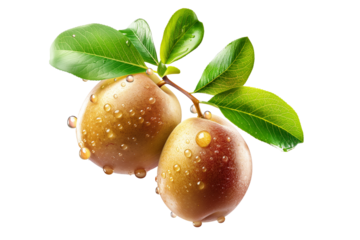 A beautiful closeup of ripe golden plums with dew drops, leaves isolated on a white transparent background