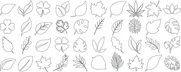 Leaf line art illustration, botanical outline of diverse plant leaves, nature vector design foliage, tropical, deciduous eco friendly environmental greenery