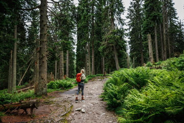 Obraz premium Hike in forest. Active woman with backpack hiking up to hill on trekking trail. Outdoor adventure in nature