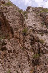 A rocky mountain with a few trees growing on it