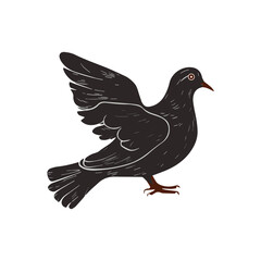 A vector Silhouette Dove Bird