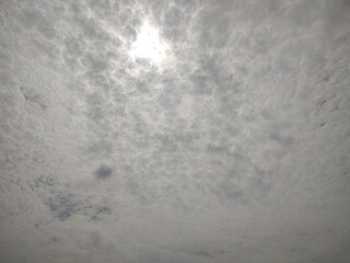 東京のそら(24.7.3)