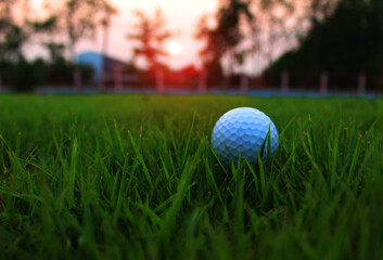 The white golf ball on the green.