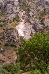 A rocky mountain with a tree in the foreground