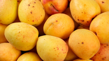 Fresh juice apricots fruit