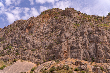 A rocky mountain with a few trees on it