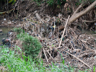 Garbage is scattered in the river, because it is stuck in fallen trees.