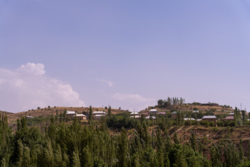 Obraz premium A rural area with a lot of trees and houses