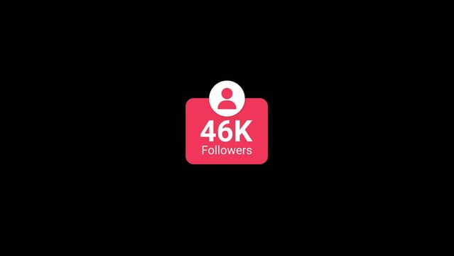 Social media 50K followers counting notification icon animation on alpha channel, Incoming followers counting notification animation 4k background video