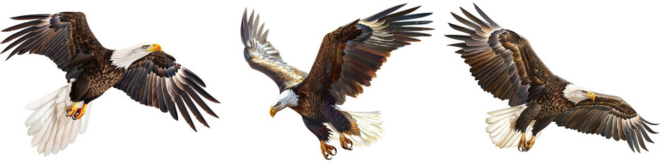 Obraz premium A trio of majestic bald eagles in flight, showcasing their impressive wingspans against a clear sky, symbolizing strength and freedom.