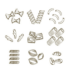 さまざまな種類のショートパスタの手書きイラスト